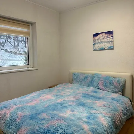 Appartement Lily Brzeće